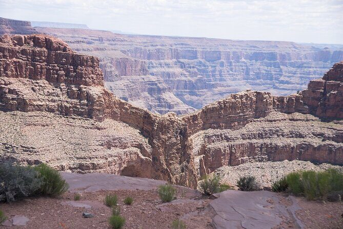 Small Group Grand Canyon, Hoover Dam and Joshua Tree Forest Tour - Joshua Tree Forest: what to notice besides the famous shape